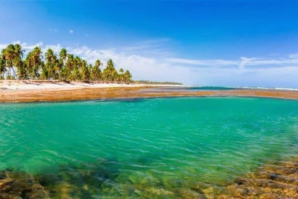 Piscinas Naturais De 프라이아 두 포르테 외부 사진